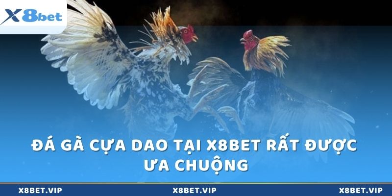 Đá gà cựa dao là hình thức truyền thống và được nhiều người yêu thích